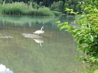 Radtour von Villach nach Kirchentheuer