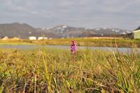Insel Magerøya - Die Nordkapinsel