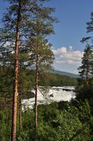 Målselvfossen