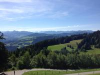 Blick vom Pfänder