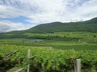 Ausblicke an der Südtiroler Weinstraße