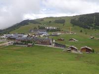 Compatsch auf der Seiser Alm