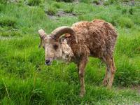 Tag 6 - Geierschlucht