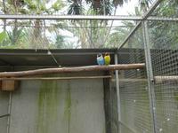 Sind die nicht süß?