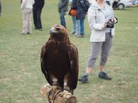 Tag 15 - Karakorum - Naadamfest