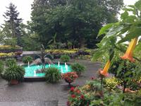 Mediterran-Terrassen auf der Insel Mainau