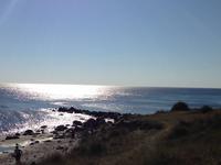 Doe Ostsee zwischen Bornholm und Rügen