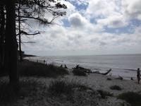 Strand in Dueodde