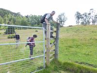 Rothiemurchus Forest