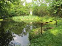 dörfliche Idylle Oberretzbach