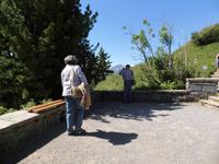 im Alpengarten