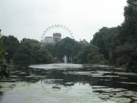St. James' Park