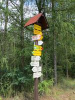 leichte Orientierung auf Radwegen im Thaya-Nationalpark