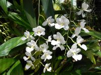 Eric Young Foundation