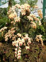 Eric Young Foundation