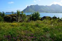 224 Lofotenrundfahrt