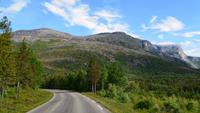 269 Saltdalen
