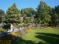 Blumen, Pflanzen und Bäume prächtig angeordnet