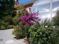 Beim Palmenhaus, die Kirche