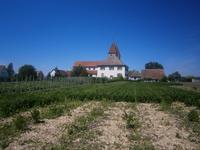 Insel Reichenau, Niederzell, Kirche St. Peter und Paul