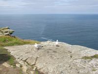 Gipfel-Foto mit Meerblick