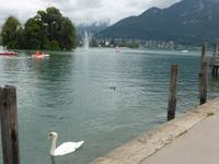 Annecy - Schwaneninsel im See