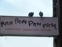 Tauben sitzen überall... auch in Breslau