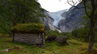 269 Wanderung zum Briksdalsbreen
