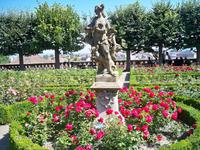 Blütenpracht im Rosengarten