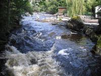 In Mörrum