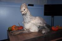 Seidenschnabel der Hippogreif als Puppe - Warnerbros. Studis