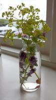 Stillleben im Hotel Budir