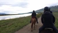Islandpferdereiten bei Akureyri