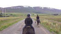 Islandpferdereiten bei Akureyri