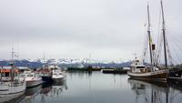 Hafen von Husavik