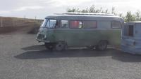 Robur am Myvatn