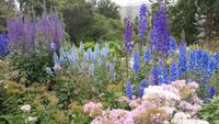 botanischer Garten in Akureyri