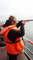 in der Gletscherlagune Jökulsarlon