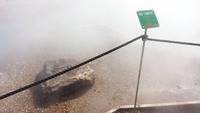 am Geysir