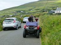Dingle