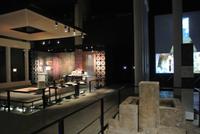 Museum Pont-du-Gard