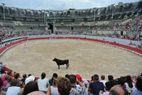 Stierkampf in der Arena von Arles
