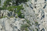 Kletterer in den Calanques bei Cassis