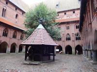 DSCN2196