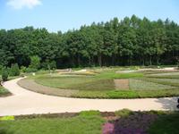 Heidekrautpflanzung, Schneverdingen