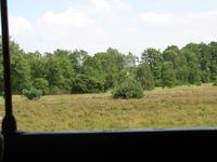 Blick auf die Heide, Undeloh