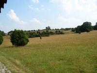 Heidelandschaft, Undeloh