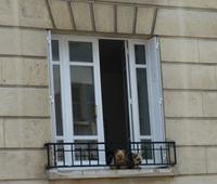 Fenster in Montemartre