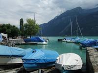 Am Brienzer See