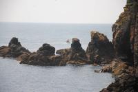 Klippen auf der Inser Sark